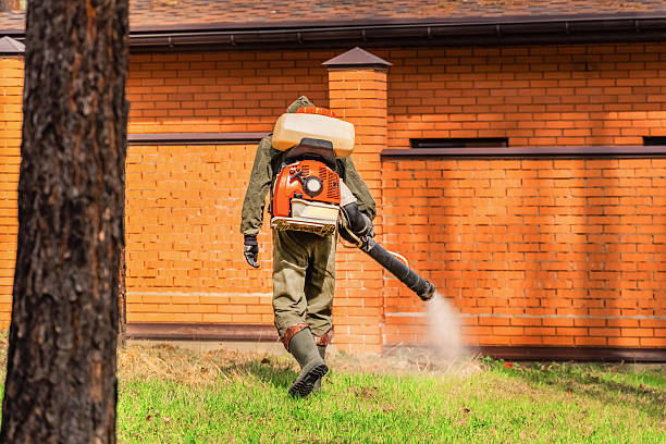 Trusted Fumigation Services service in Waikapu, HI - Nex Pest Control